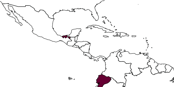 map of Dirphys encantadora     Polaszek & Hayat, 1992